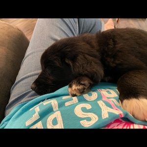 Meet your Posher, Amber